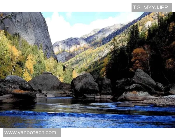 布莱克尼的神秘魅力探寻与历史文化之旅 布莱克尼的神秘魅力探寻与历史文化之旅