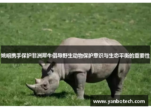 姚明携手保护非洲犀牛倡导野生动物保护意识与生态平衡的重要性