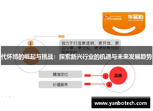代怀博的崛起与挑战：探索新兴行业的机遇与未来发展趋势