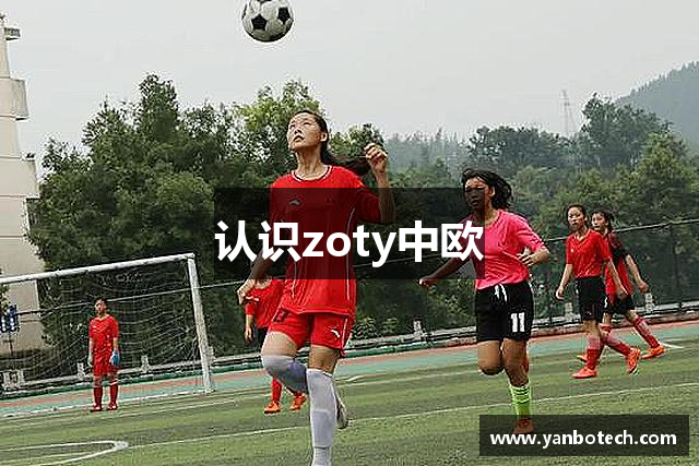 认识zoty中欧